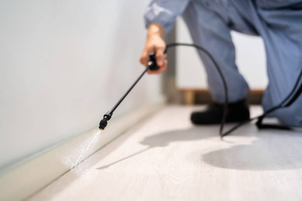 Licensed Fumigation Services service in Andrews AFB, MD - Nex Pest Control