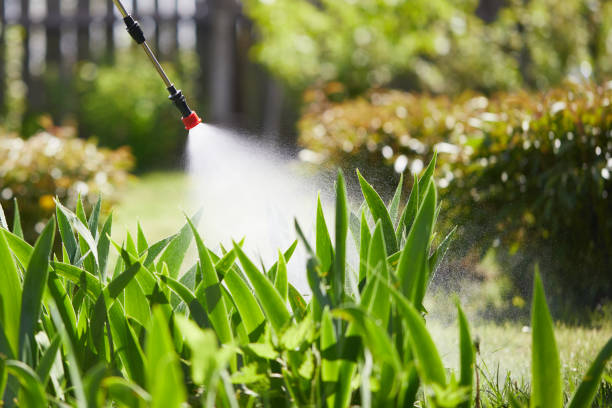 24/7 Emergency Fumigation Services experts in Andrews AFB, MD