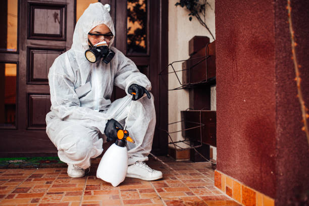 Reliable Fumigation Services contractor in Andrews AFB, MD by Nex Pest Control