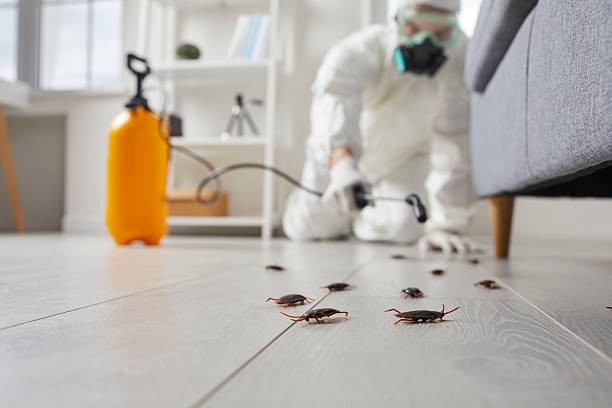 Trusted Fumigation Services service in Andrews AFB, MD - Nex Pest Control