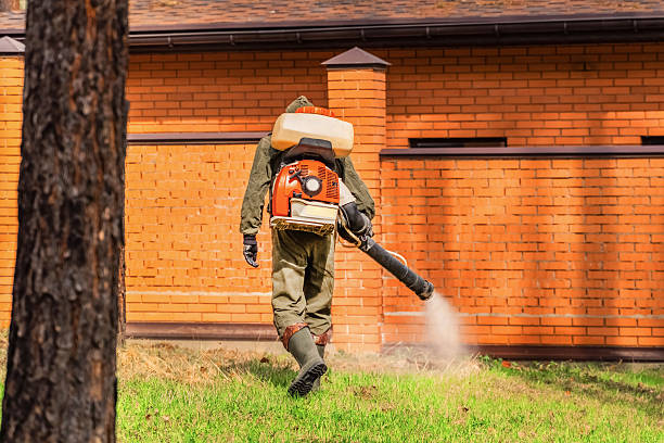 Trusted Termite Control service in Andrews AFB, MD - Nex Pest Control